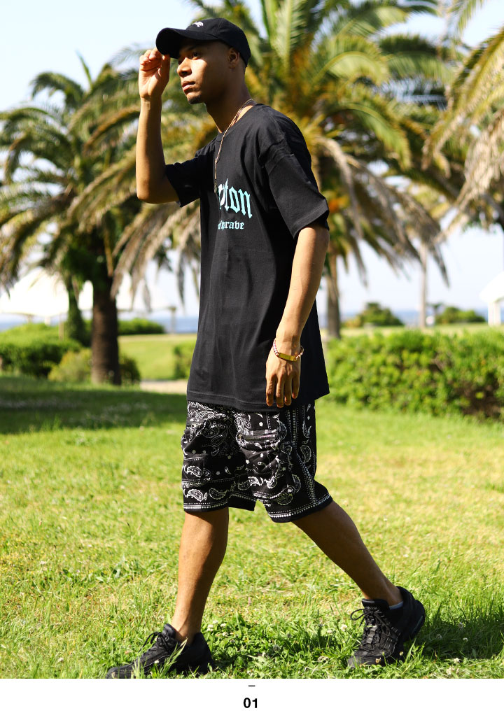 ACE FLAG 岼å Ⱦµ T ϡեѥ 岼   եå åȥå LA ڥ꡼ Compton ץȥ ɥ꡼ b ҥåץۥå եå  ȥ꡼ȷ AF-SE-TS-053