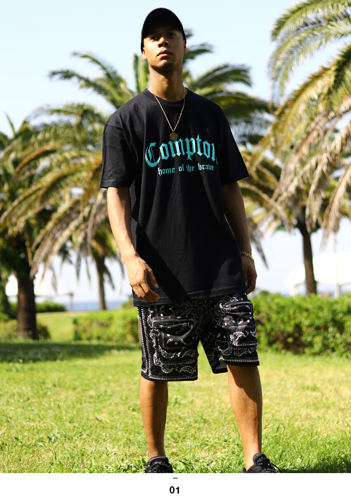 ACE FLAG 岼å Ⱦµ T ϡեѥ 岼   եå åȥå LA ڥ꡼ Compton ץȥ ɥ꡼ b ҥåץۥå եå  ȥ꡼ȷ AF-SE-TS-053