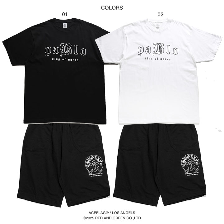 ACE FLAG �岼���å� Ⱦµ �֥��� T����� �ϡ��եѥ�� ��� �ղ��� �� �� �礭�������� �������ե�å� ���åȥ��å� 2Pac ���� ������ �ѥ֥� �������Х� �ӥå����륨�å� b�� �ҥåץۥå� �ե��å���� ���� ���ȥ꡼�ȷ� �ϥ� 2025�ղ� ���� AF-SE-TS-201