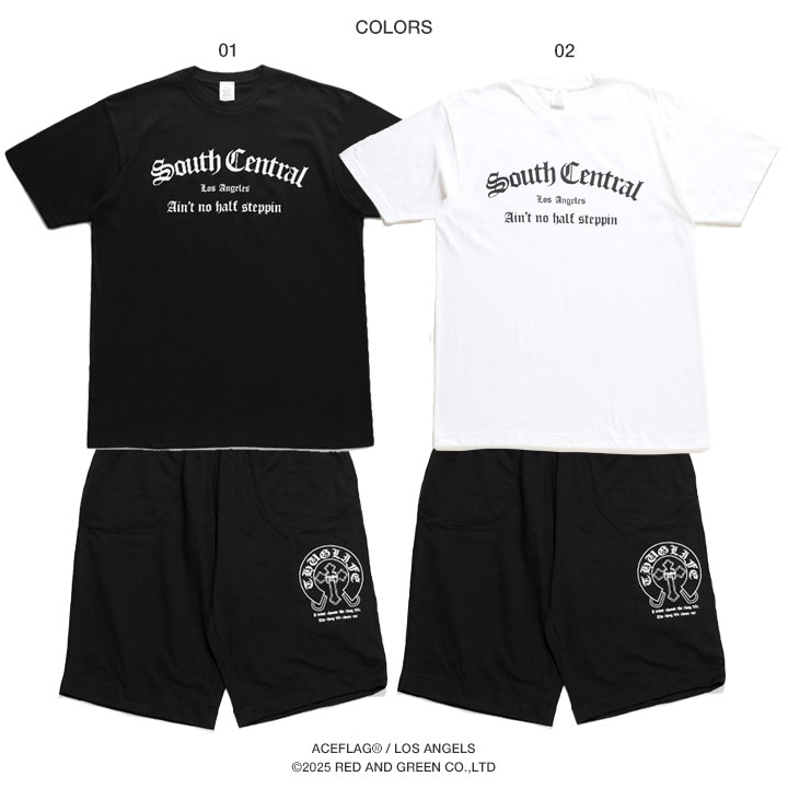 ACE FLAG �岼���å� Ⱦµ �֥��� T����� �ϡ��եѥ�� ��� �ղ��� �� �� �礭�������� �������ե�å� ���åȥ��å� 2Pac ���� South Central ����������ȥ�� �ӥå����륨�å� b�� �ҥåץۥå� �ե��å���� ���� la ���ȥ꡼�ȷ� 2025�ղ� ���� AF-SE-TS-203