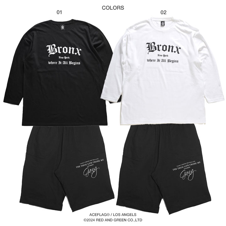 ACE FLAG �岼���å� Ĺµ T����� ����T �֥��� �������å� �ϡ��եѥ�� ��� �ս����� �� �� �礭�������� �������ե�å� ���åȥ��å� Bronx �֥��󥯥� ɮ���� gang �ӥå����륨�å� b�� �ҥåץۥå� �ե��å���� ���ȥ꡼�ȷ� 2025�ղ� ���� AF-SE-LT-134