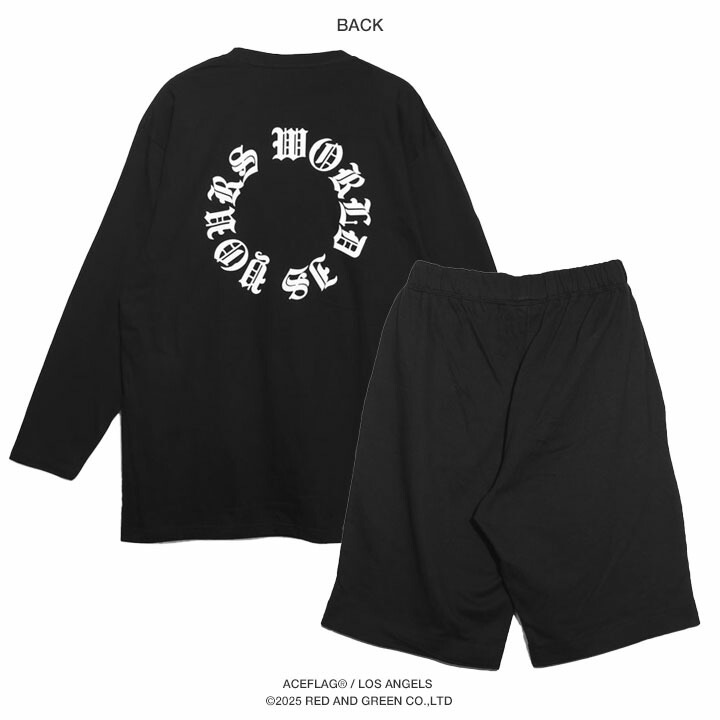 ACE FLAG �岼���å� Ĺµ T����� ����T �֥��� �������å� �ϡ��եѥ�� ��� �ս����� �� �礭�������� �������ե�å� ���åȥ��å� WORLD IS YOURS ���ɥ����楢���� �ӥå����륨�å� b�� �ҥåץۥå� �ե��å���� ���ȥ꡼�ȷ� 2025�ղ� ���� AF-SE-LT-139