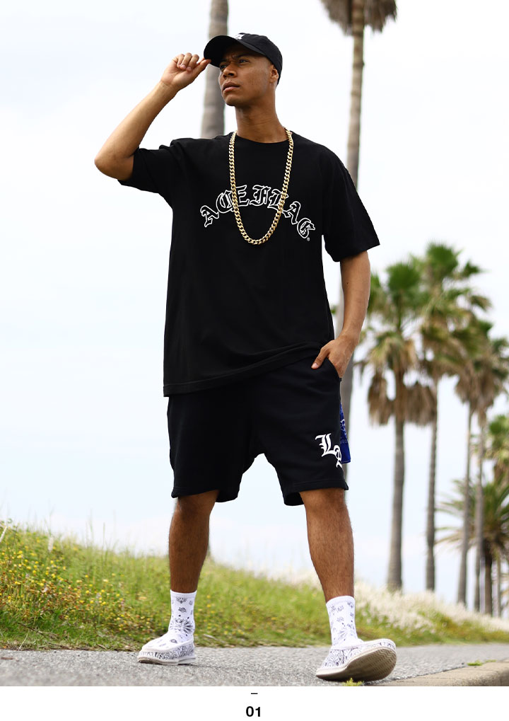 ACE FLAG �岼���å� Ⱦµ �֥��� T����� �ϡ��եѥ�� ��� �ղ��� �� �礭�������� �������ե�å� ���åȥ��å� �������ʸ�� �����С������� �ӥå����륨�å� b�� �ҥåץۥå� �ե��å���� ���� ���ȥ꡼�ȷ� �ϥ� ���� AF-SE-TS-169