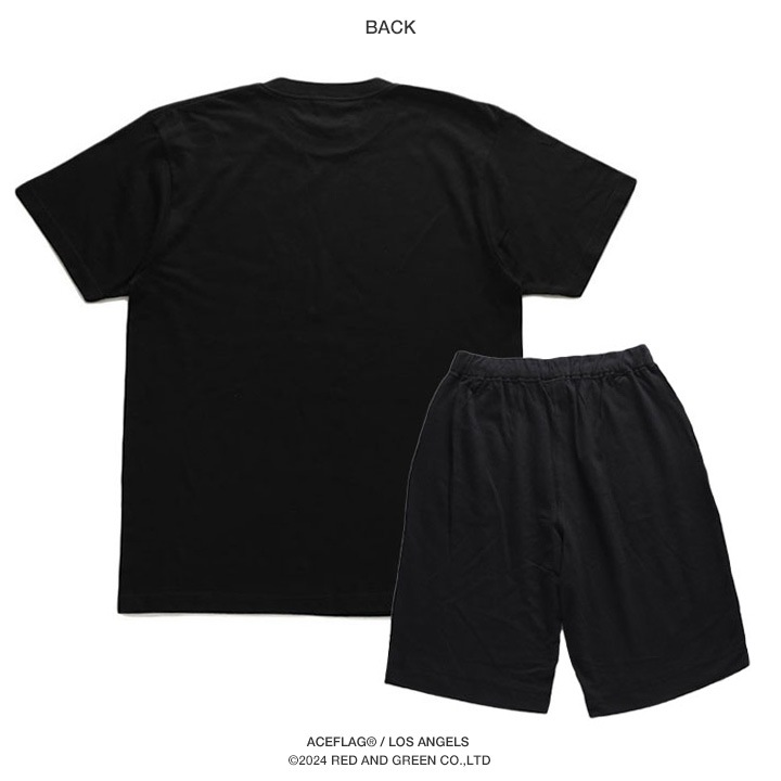 ACE FLAG �岼���å� Ⱦµ �֥��� T����� �ϡ��եѥ�� ��� �ղ��� �� �礭�������� �������ե�å� ���åȥ��å� �������ʸ�� �����С������� �ӥå����륨�å� b�� �ҥåץۥå� �ե��å���� ���� ���ȥ꡼�ȷ� �ϥ� ���� AF-SE-TS-169