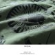 MISHKA Ⱦµ����� ��� ��ǥ����� �ղ��� ���꡼��/�� �礭�������� �ߥ��� ����� Ⱦµ ������� ���ä����� KEEPWATCH ��� �ݥ��å� �������� �ߥ꥿�꡼����� b�� �ҥåץۥå� �ե��å���� ���å� �Х�� ���ȥ꡼�ȷ� M21000203