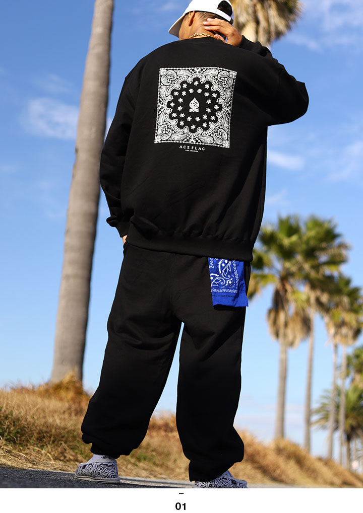 ACE FLAG �岼���å� Ĺµ �֥��� �����ܡ� ��� �ս����� �� �� �礭�������� �������ե�å� ���åȥ��å� �ȥ졼�ʡ� �������å� ΢�ѥ��� �������åȥѥ�� �ڥ����꡼�� �ӥå����륨�å� b�� �ҥåץۥå� �ե��å���� ���ȥ꡼�ȷ� ���� AF-SE-SW-113