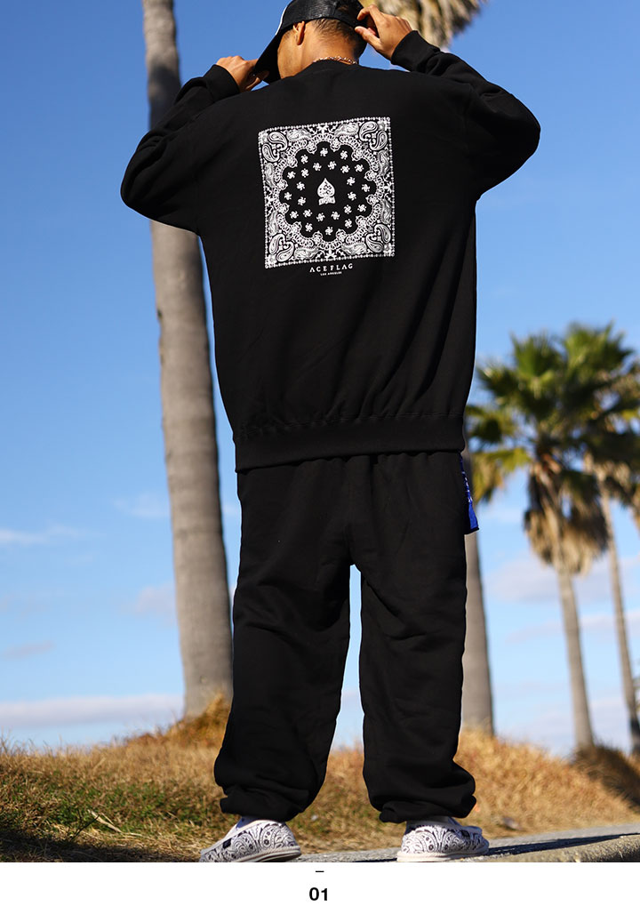 ACE FLAG �岼���å� Ĺµ �֥��� ��� �ս����� �� �礭�������� �������ե�å� ���åȥ��å� �ȥ졼�ʡ� �������å� ΢�ѥ��� �������åȥѥ�� �ڥ����꡼�� ������ �ӥå����륨�å� b�� �ҥåץۥå� �ե��å���� ���ȥ꡼�ȷ� ���� AF-SE-SW-114