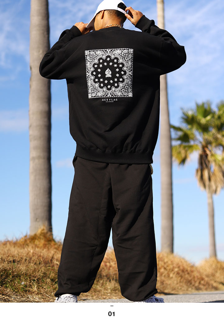 ACE FLAG �岼���å� Ĺµ �֥��� �����ܡ� ��� �ս����� �� �礭�������� �������ե�å� ���åȥ��å� �ȥ졼�ʡ� �������å� �������åȥѥ�� �ڥ����꡼�� ������ ���� �ӥå����륨�å� b�� �ҥåץۥå� �ե��å���� ���ȥ꡼�ȷ� ���� AF-SE-SW-115