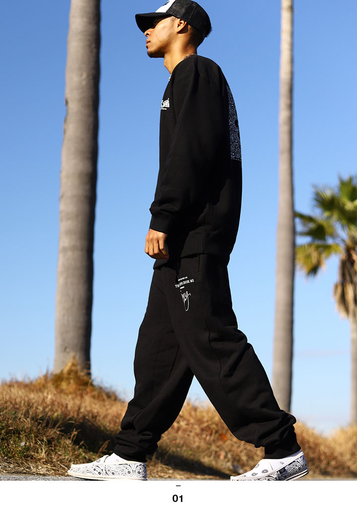 ACE FLAG �岼���å� Ĺµ �֥��� ��� �ս����� �� �礭�������� �������ե�å� ���åȥ��å� �ȥ졼�ʡ� �������å� ΢�ѥ��� �������åȥѥ�� �ڥ����꡼�� 2Pac ɮ���� �ӥå����륨�å� b�� �ҥåץۥå� �ե��å���� ���ȥ꡼�ȷ� ���� AF-SE-SW-118