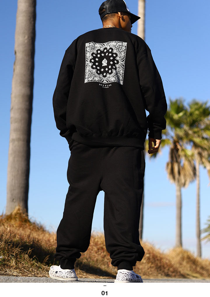 ACE FLAG �岼���å� Ĺµ �֥��� ��� �ս����� �� �礭�������� �������ե�å� ���åȥ��å� �ȥ졼�ʡ� �������å� ΢�ѥ��� �������åȥѥ�� �ڥ����꡼�� 2Pac ɮ���� �ӥå����륨�å� b�� �ҥåץۥå� �ե��å���� ���ȥ꡼�ȷ� ���� AF-SE-SW-118