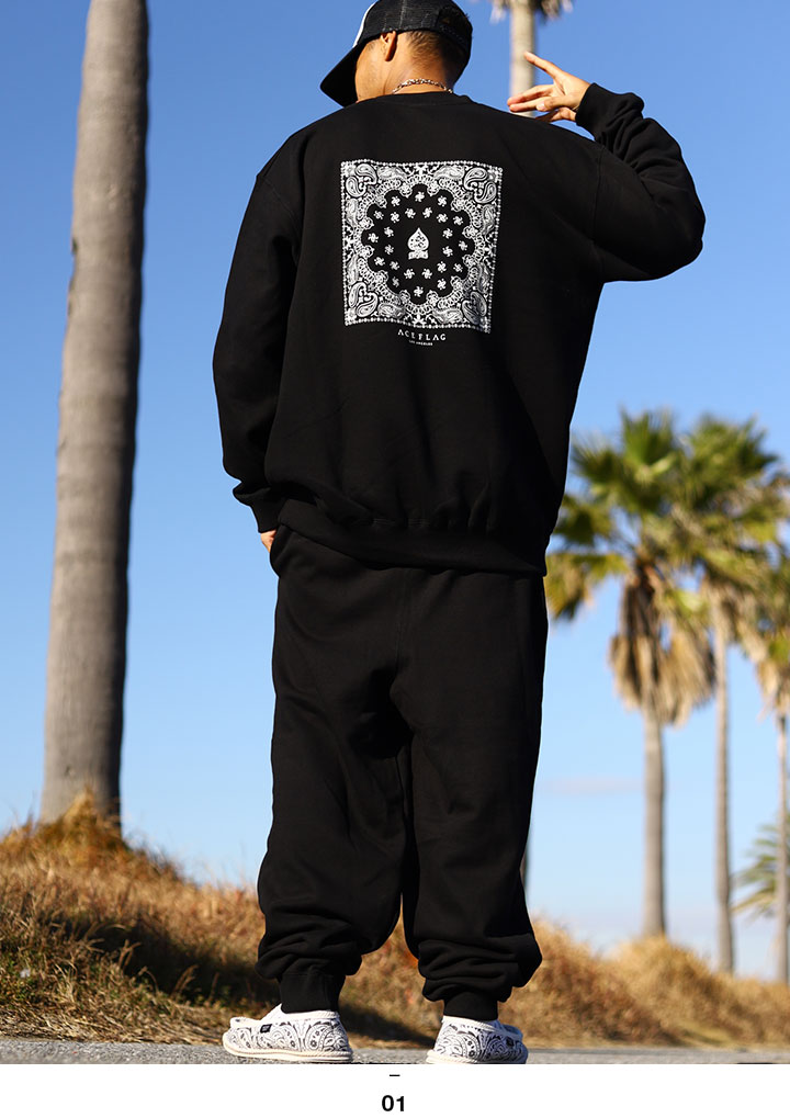 ACE FLAG �岼���å� Ĺµ �֥��� ��� �ս����� �� �礭�������� �������ե�å� ���åȥ��å� �ȥ졼�ʡ� �������å� ΢�ѥ��� �������åȥѥ�� �ڥ����꡼�� 2Pac ɮ���� �ӥå����륨�å� b�� �ҥåץۥå� �ե��å���� ���ȥ꡼�ȷ� ���� AF-SE-SW-118