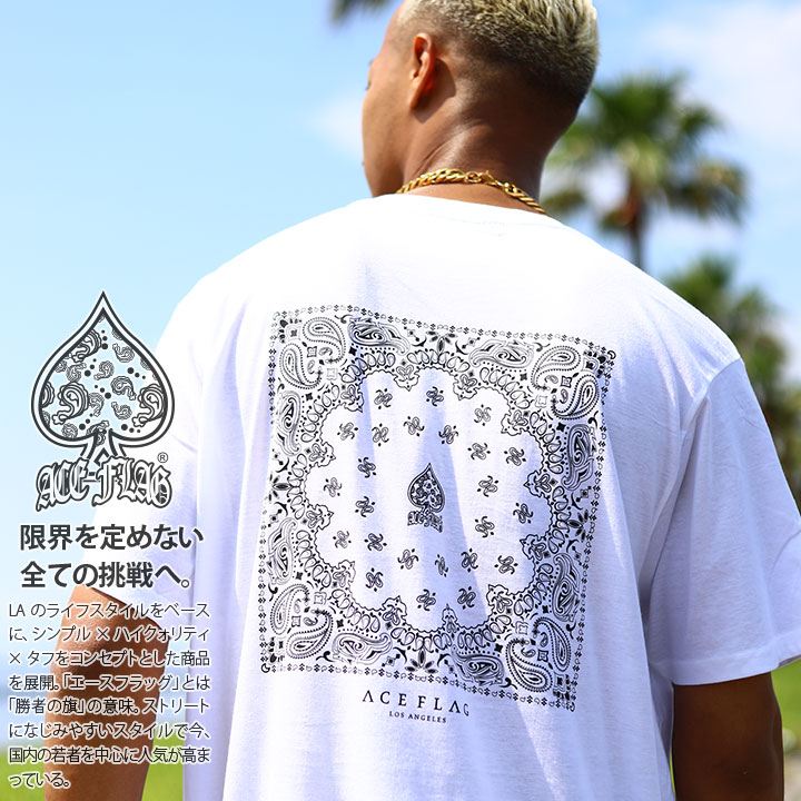 ACEFLAG T����� Ⱦµ ��� ��ǥ����� �ղ��� �� �� �礭�������� �������ե�å� ������� �ڥ����꡼�� ���� �ܥå������� b�� �ҥåץۥå� �ե��å���� ���� ���ȥ꡼�ȷ� �֥��� �� ���� AF-TS-TS-048