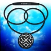 �֥�å��������������ͥå��쥹