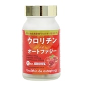 �����������de�����ȥե�����