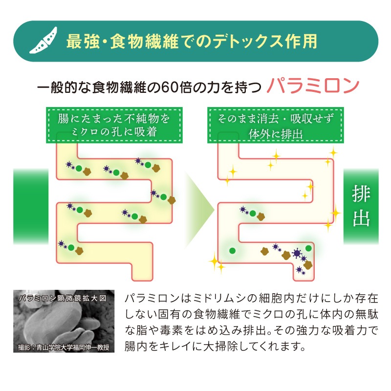 �Х���������