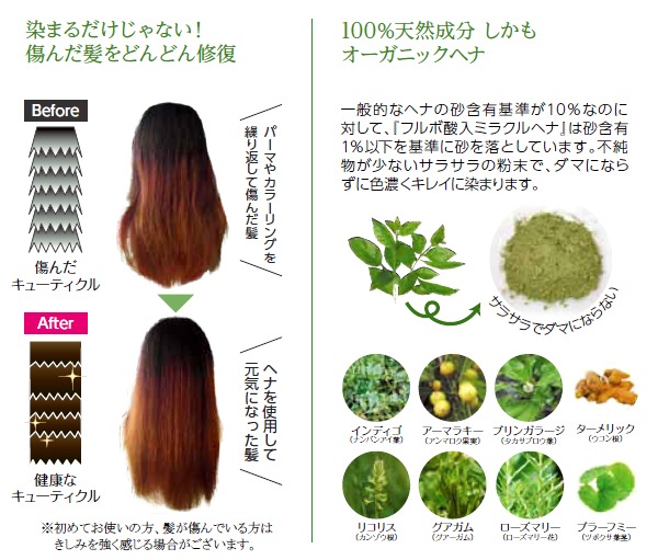 ���ե�ܻ����ߥ饯��إ�