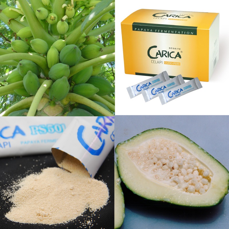 �����ꥫ�����PS501��100��