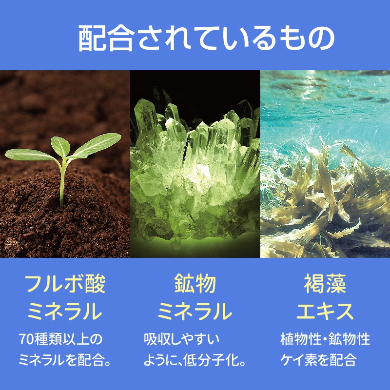 MD���ʥ���ǥ�������ե���