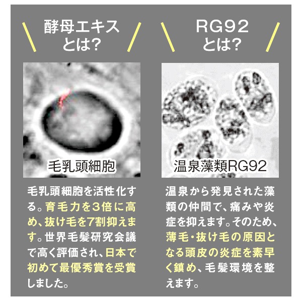 ���������ܡ� �إ��ȥ꡼�ȥ��ȡ�
