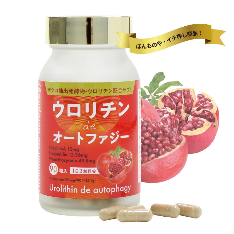 �����������de�����ȥե�����