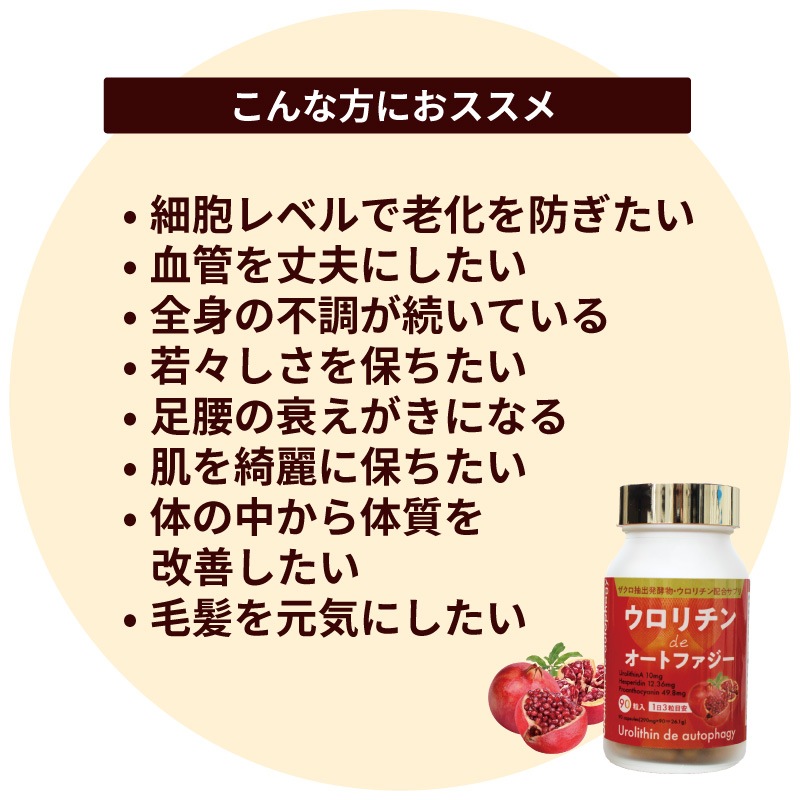 �����������de�����ȥե�����