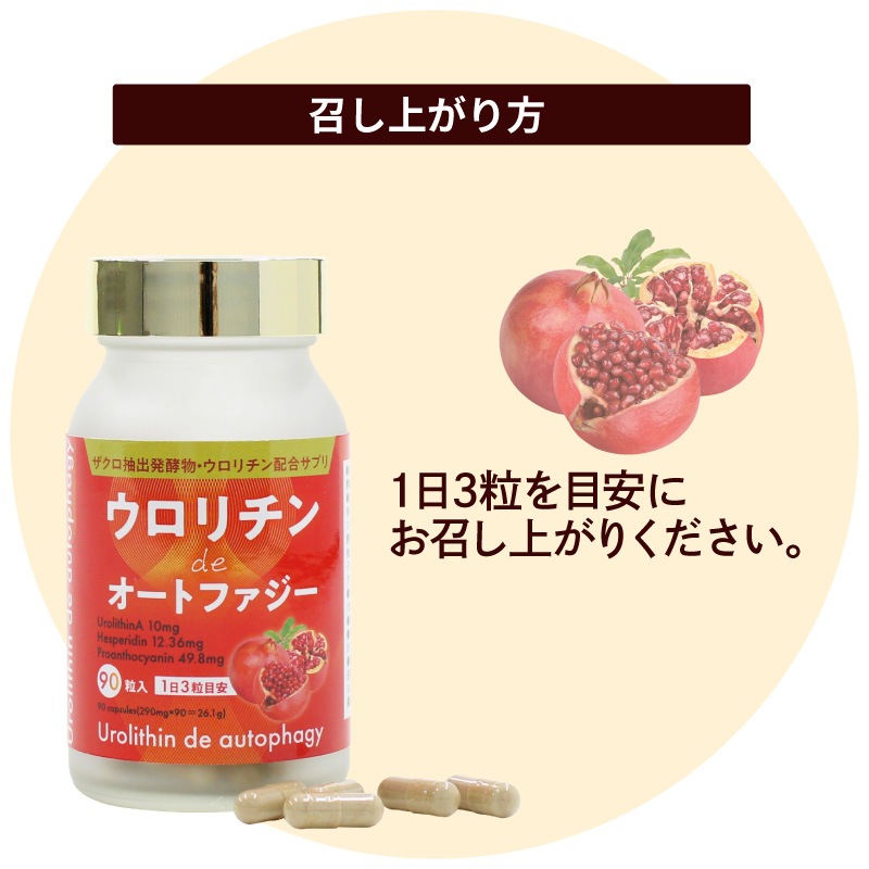 �����������de�����ȥե�����