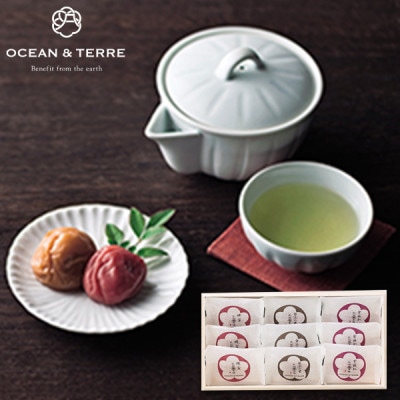 OCEAN & TERRE ơ Premium  9γ Ȣ 57Ķ