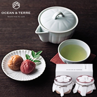 OCEAN & TERRE ơ Premium ߥåA 57Ķ