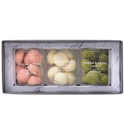 OCEAN & TERRE ơ ֡ɡ͡塡åȣ 10Ķ