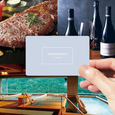 �����ɼ������������ե� �ϡ���˥å� e-book 8900�ߥ����� ������̵����