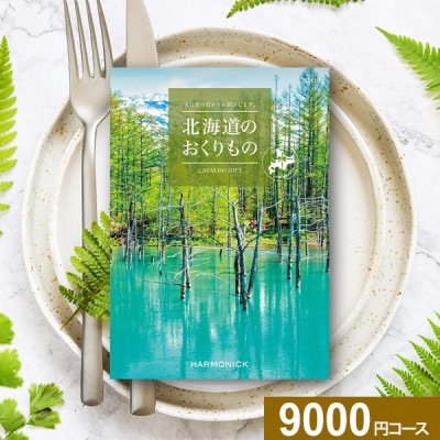 ϡ˥åե ̳ƻΤ HDO-P ̵