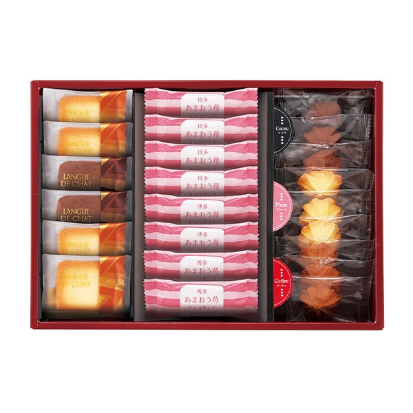 XXOCOA（ショコア）「生チョコ デュアルショコラ 10粒入