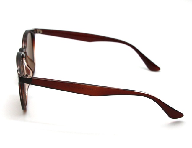 ベーシックボストンサングラス｜ブラウン 6203