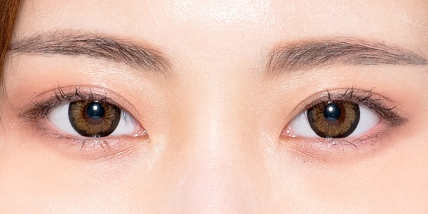 トルネブラウン｜1年カラコン/～－10.00