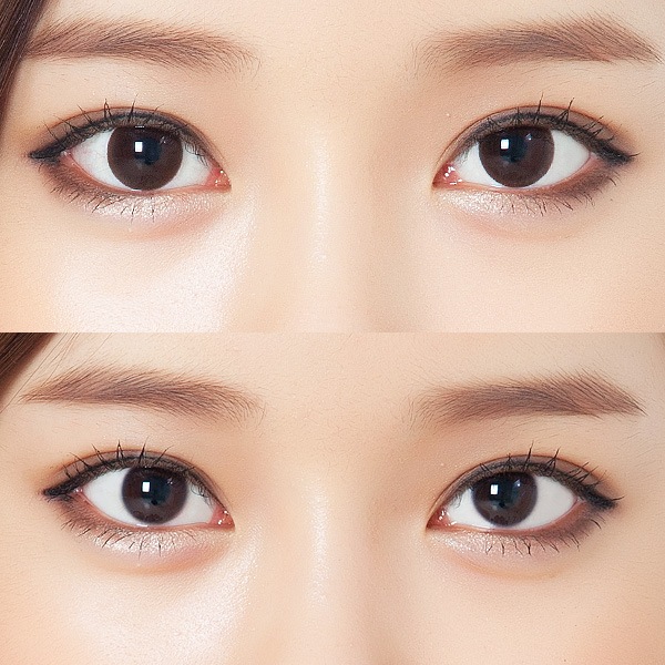 ダリブラウンブラック DALI BROWN BLACK|ベストセラーナチュラルカラコン|1年/~-10.00