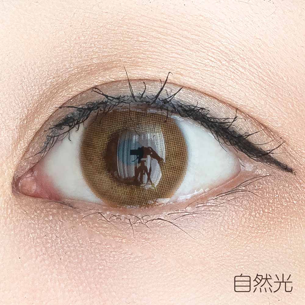 ホロブラウン HOLO BROWN｜フチなしシンプルカラコン｜１年/～-8.00