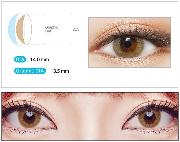 ホロクリームブラウン HOLO CREAM BROWN｜フチなしシンプルなベージュカラコン｜１年/～-8.00