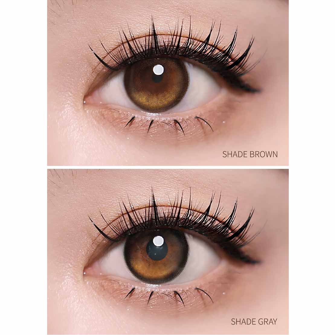 オリアナエッジプラス シェードブラウン【１DAY/使い捨て】ORIANA Edge Plus Shade Brown アイシャ I-SHA ～－8.00/10枚入