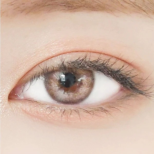 Credit Brown クレジットブラウン|1ヶ月 マンスリー| lensrang レンズラン ~-10.00/2枚入