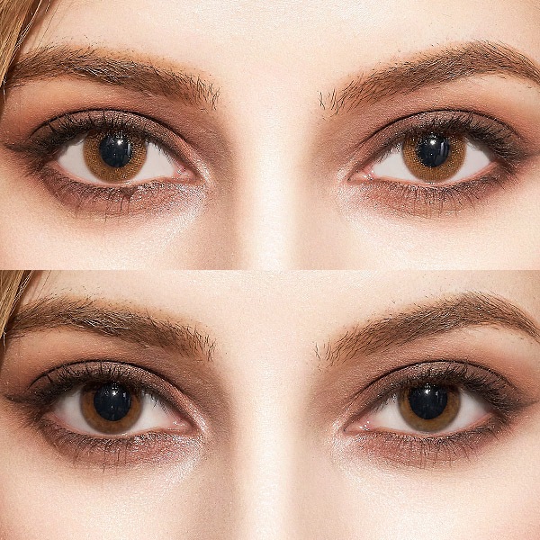 マンスリーシャンパンブラウン MONTYHLY CHAMPAGNE BROW｜1ケ月/～－8.00｜フチなしラメカラコン