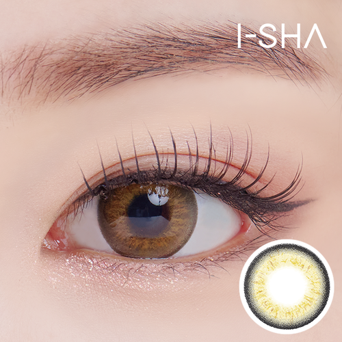 フレックスアイ グローイングブラウン｜6ヶ月～1年｜FLEX I Glowing BrownアイシャカラコンI-SHA ～－8.00/2枚入