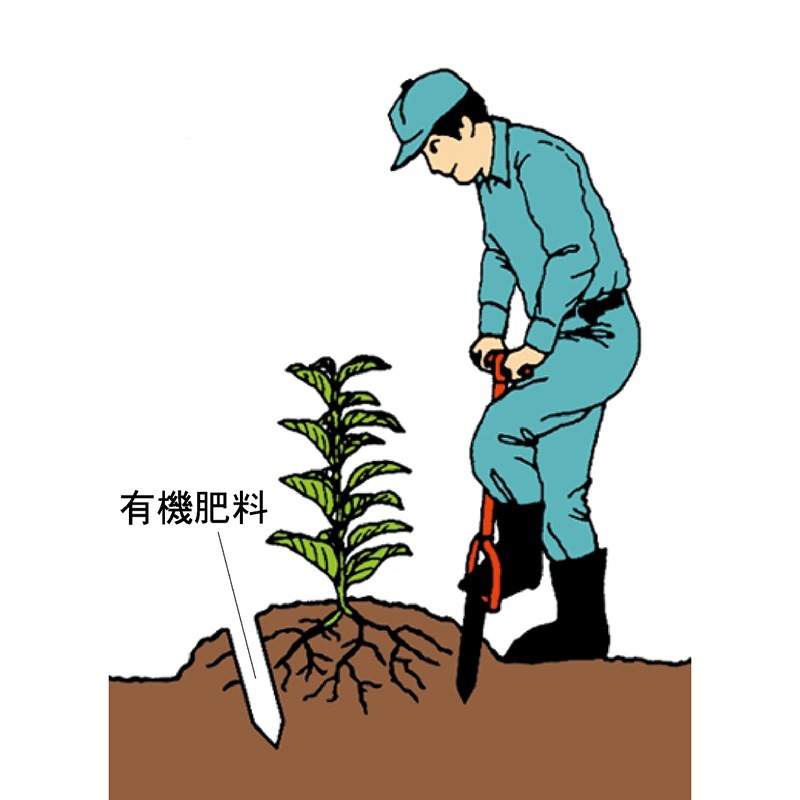 サンエー モーラー GM50