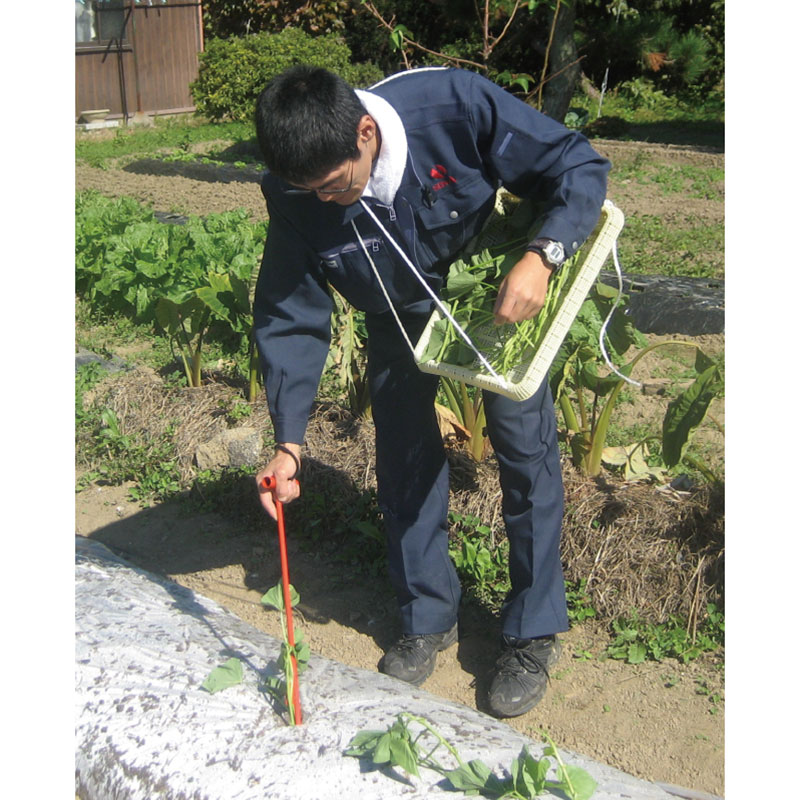 サンエー さすけ AP-02