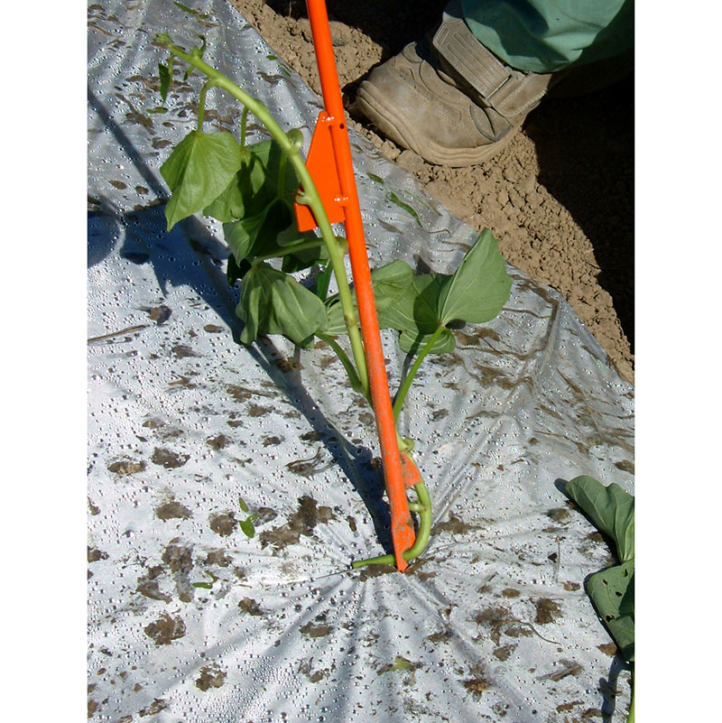 サンエー さすけ AP-02