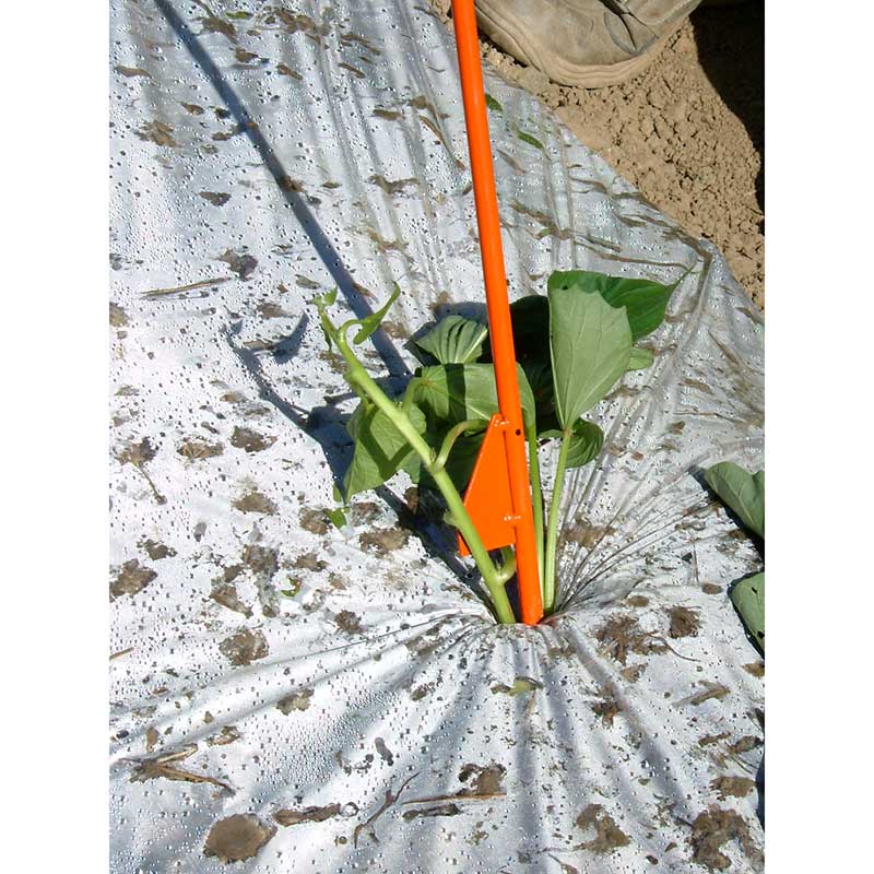 サンエー さすけ AP-02