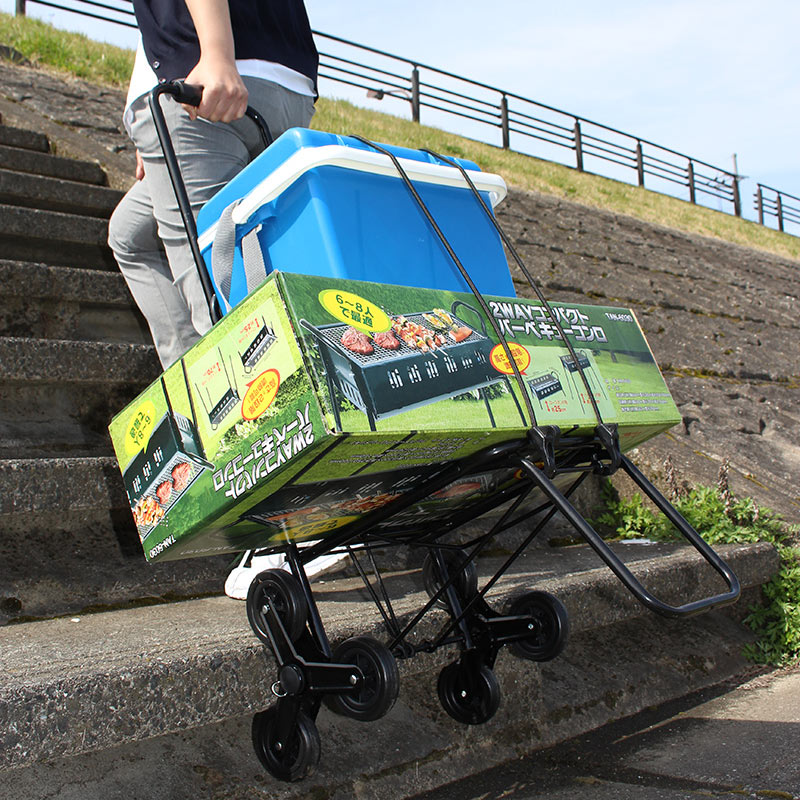 Doublefocus キャリーカート 55×36×23cm　ふなっしー Doublefocus キャリーカート 553623cm ふなっしー Doublefocus