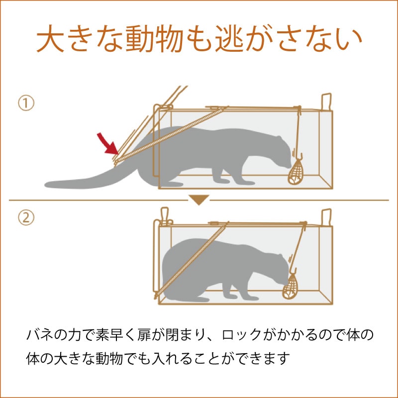 栄ヒルズ 捕獲器 Dタイプ303 TN-3 黒塗装仕上げ