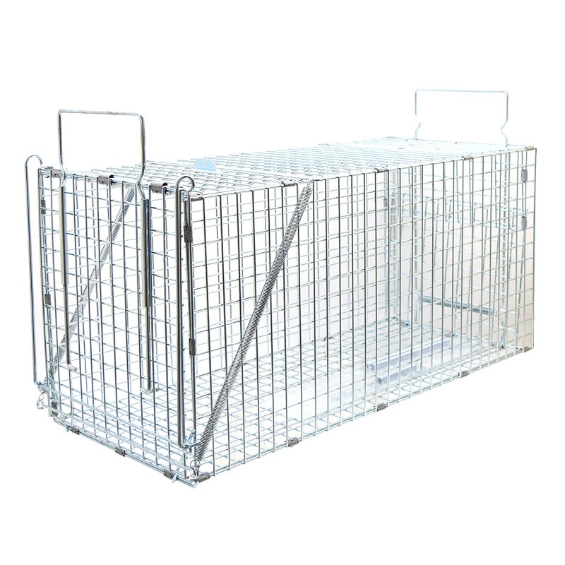 栄ヒルズ 捕獲器 Dタイプ402 AG-2 メッキ仕上げ