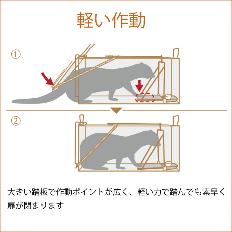 栄ヒルズ 保護器踏板式 Dタイプ305 TN-5 黒塗装仕上げ