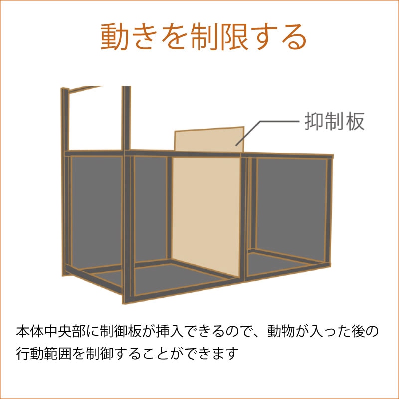 栄ヒルズ 箱罠 (両開) Eタイプ602 IS-2 塗装仕上げ